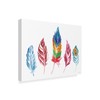 Trademark Fine Art Farida Zaman 'Rainbow Feathers Iv' Canvas Art, 18x24 WAP04211-C1824GG